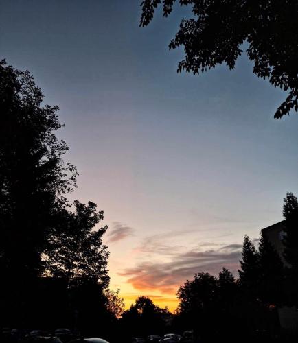 459307119_1074115777564333_2260306627663120000_n