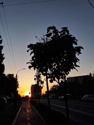 462546643_334050873136526_2049294113358117055_n