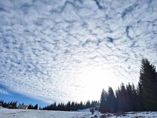 474518767_637929251963927_2414499070731291097_n