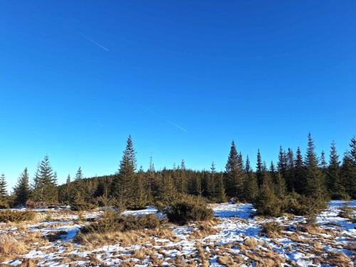 475885120_1287226895870986_6942225464843918302_n